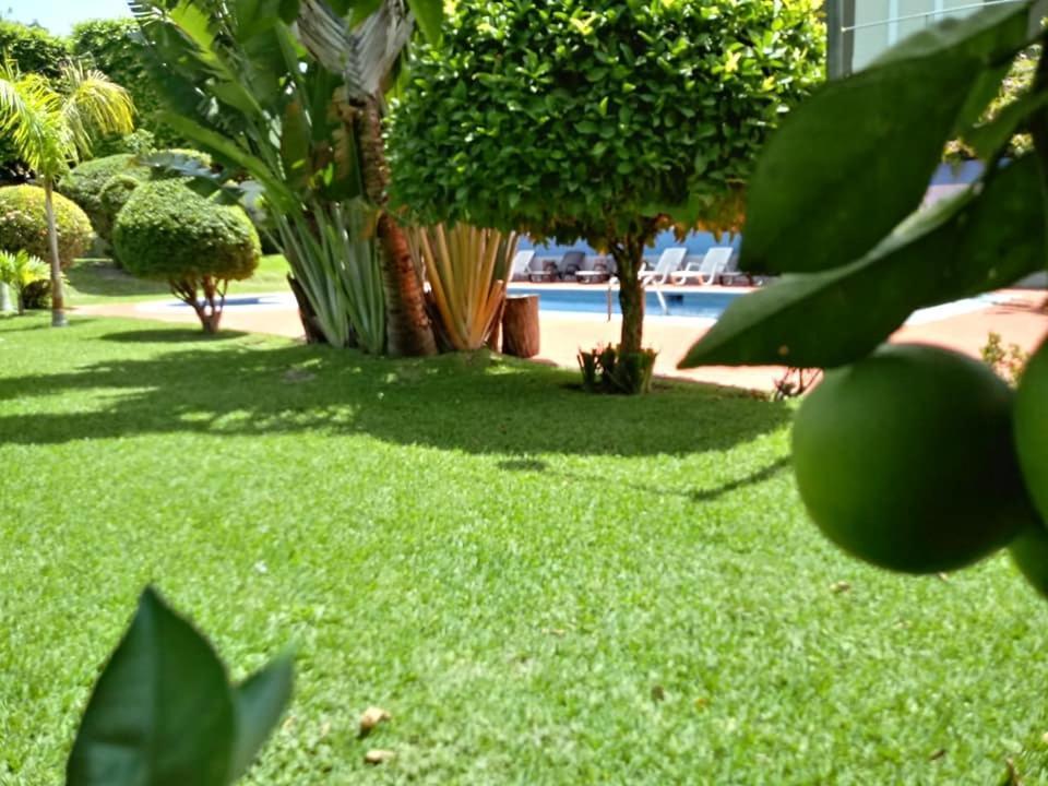 Hotel Alamo Internacional San Salvador Exterior photo