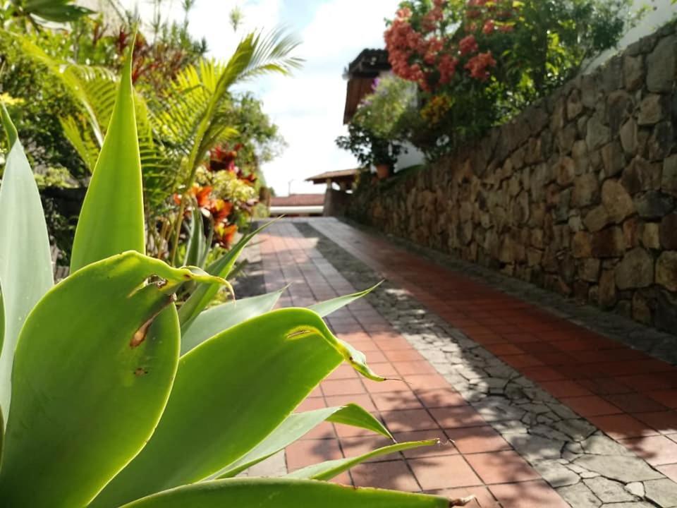 Hotel Alamo Internacional San Salvador Exterior photo